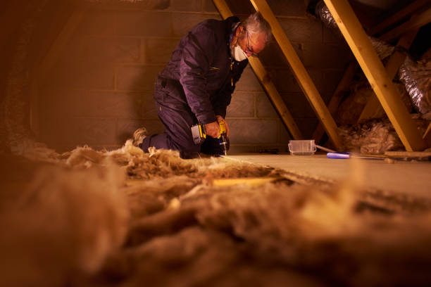 Insulation Inspection Services in Steep Falls, ME