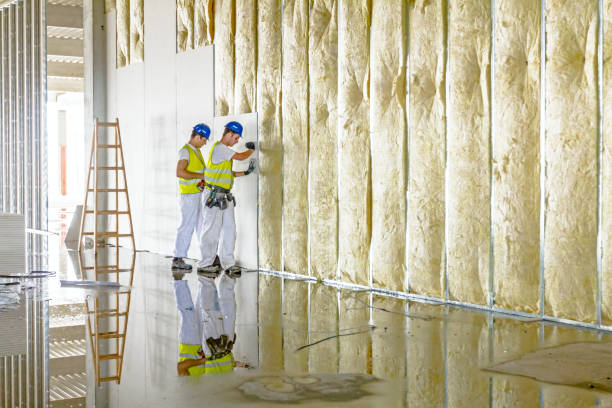 Best Insulation for New Construction  in Steep Falls, ME